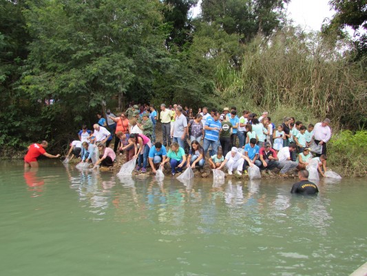 Secretaria de Educação realiza atividades alusivas à Semana Mundial do Meio Ambiente