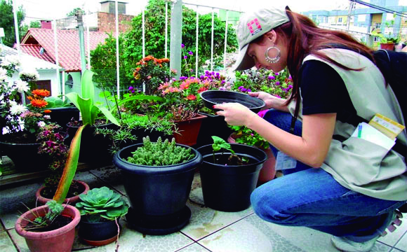Além dos casos de dengue, o balanço mostra que são 133 registros de chikungunya e 13 casos de zika em Araguari 