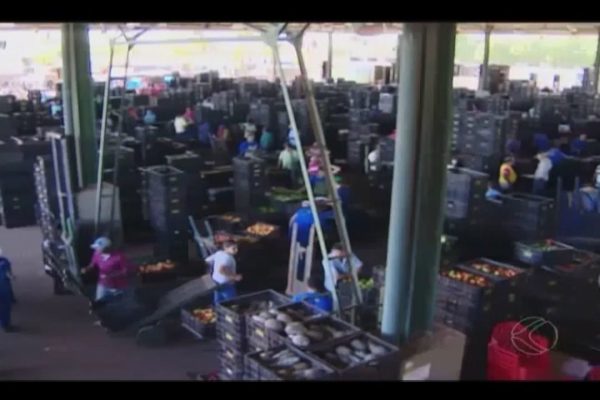 Ataque criminoso ocorreu ontem de manhã, na Ceasa ** Arquivo 