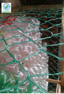 Projeto Greenpeace “Bioma do Cerrado” promove ações em prol da comunidade local