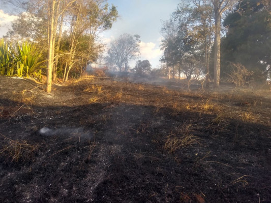 Bombeiros fazem alerta para a população não usar o fogo como meio de limpeza mais fácil