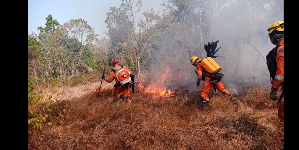 Operação reuniu bombeiros de vários estados brasileiros