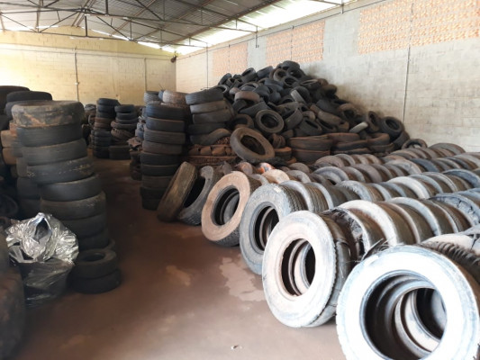 FOTO: Secretaria de Meio Ambiente