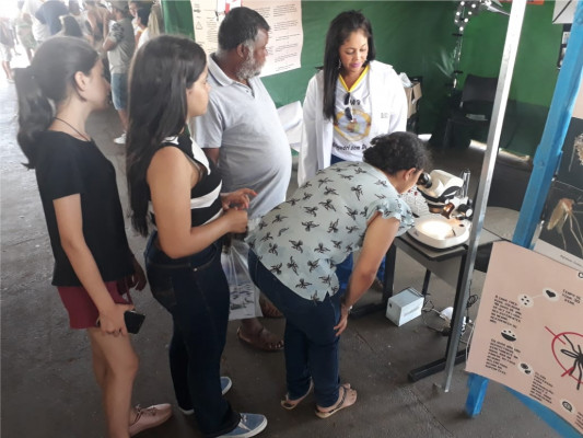 Mobilização teve como objetivo conscientizar a população sobre a importância do engajamento na luta contra o Aedes   