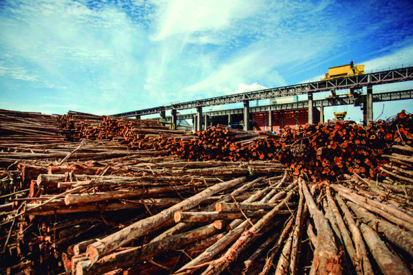 Instalação da empresa entre Araguari e Indianópolis pautou mais uma representação junto ao MP 