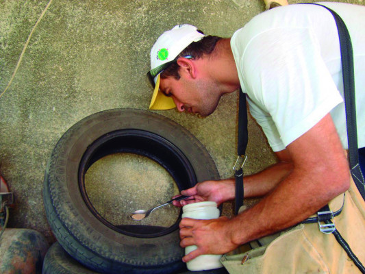 Na cidade, os dados apontam a diminuição do índice larvário, sendo registrado 1,4% de infestação 