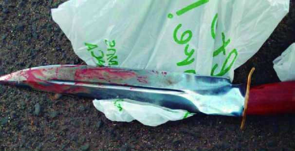 Arma do crime apreendida pelos policiais debaixo de uma cama ** Divulgação 