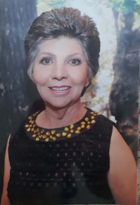 Sueli Fátima Barbosa aniversariante do dia 26 , recebe os parabéns de filhas , Genros netos e Bisnetos