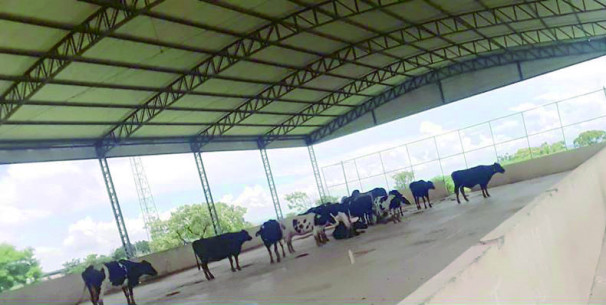 Moradores relatam problemas enfrentados devido ao abandono da quadra esportiva construída no bairro Bela Suíça 