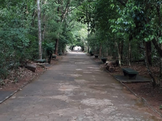 Situação motiva reclamações tanto dos visitantes quanto dos moradores próximos