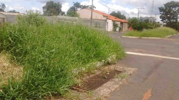 Limpeza dos bueiros tem sido feita diariamente, conforme informação da prefeitura