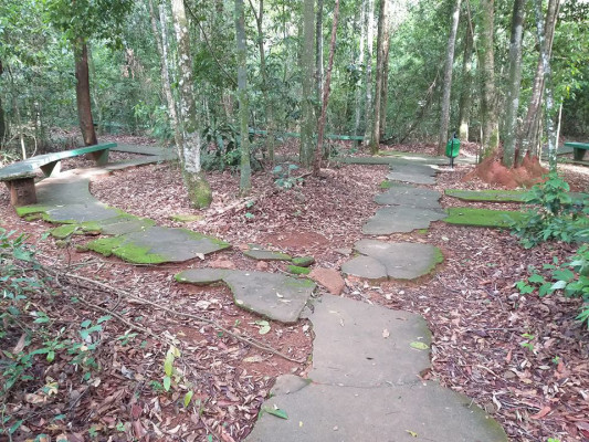 População relata o descaso da gestão municipal