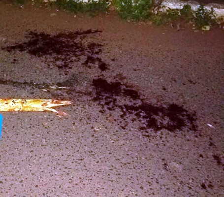 Pedaço de madeira e marcas de sangue encontrados no local dos fatos ** Arquivo 