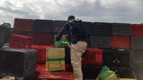 Flagrante ocorreu na manhã desta terça-feira ** PRF