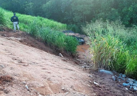 Foram dois acidentes no mesmo trecho, sendo um inusitado ** PRF 