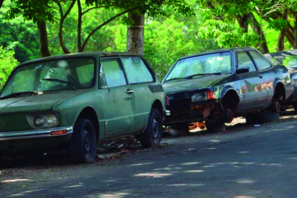 Denúncias sobre a situação de abandono podem ser feitas pelo número 3690-3270