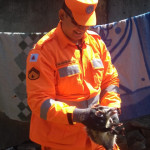 Tamanduá e gambás capturados nessa semana