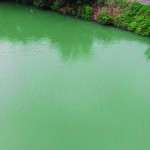 Quatro casos foram registrados nesta semana na região, dois no rio Araguari