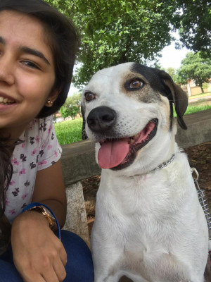 Caroline Estevam da Cunha cursa o sétimo período em Medicina Veterinária, norteada pelo amor aos animais e a vocação desde sempre se manifestando. Hospeda cães e gatos, o que – diga-se de passagem – facilita e-nor-me-men-te a vida de quem tem em casa esses amores e precisa – vez ou outra – desse suporte. A queridinha, apesar da correria - encontra tempo para curtir a vida, namorar e ser feliz, intensamente! Com ela na foto todo pimpão, o meu Baruk! 