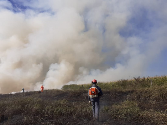 Incêndio em pastagem numa propriedade rural às margens da rodovia MG-223