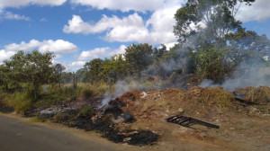 As queimadas são mais propícias na época de estiagem 