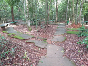 Revitalização do bosque acontecerá nas áreas interna e externa.