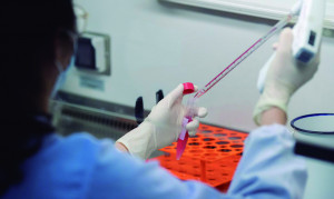  Estatísticas da própria SES-MG apontam que a doença se alastrou por 585 cidades de Minas Gerais até o momento