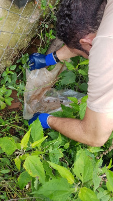 As doenças como dengue, zika e chikungunya merecem a atenção redobrada da população