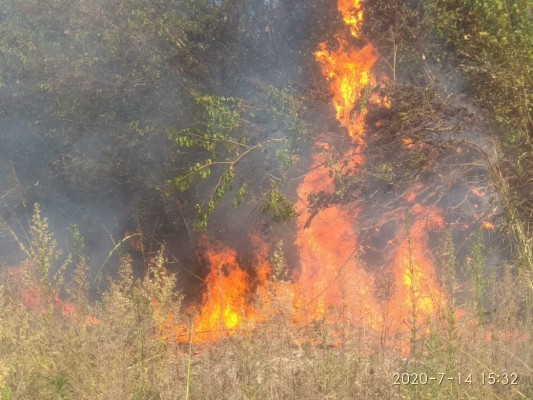 Incêndio registrado no km 37 da BR-050 