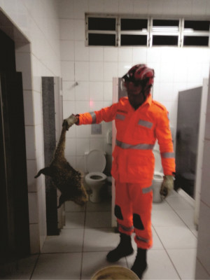 A captura ocorreu na noite de anteontem