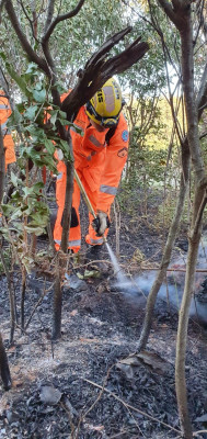 A 2ª Companhia de Bombeiros Militar de Araguari está trabalhando constantemente pela preservação da vegetação e conscientização da população