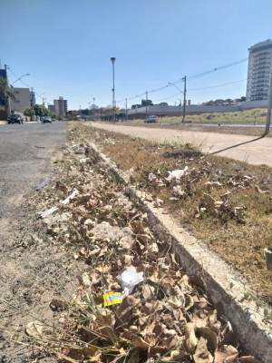 Na avenida Theodolino Pereira de Araujo, o mato e a sujeira tomam conta do meio-fio.