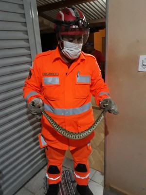 Serpente capturada na zona rural de Araguari