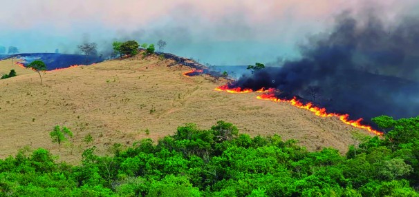 A situação é ainda mais agravada pelas queimadas florestais 