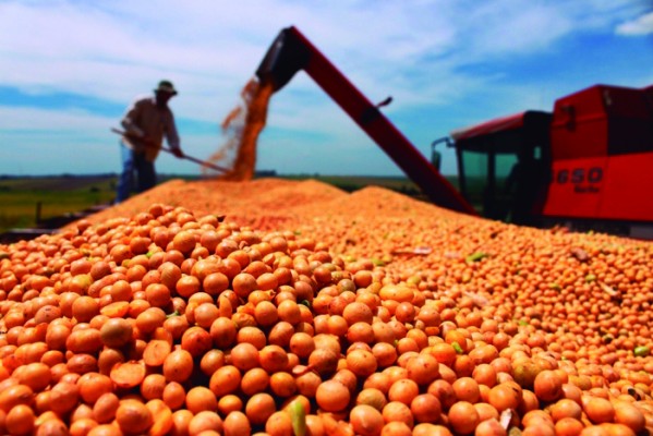 Setor da agropecuária apresenta saldo negativo pelo quarto mês seguido em Araguari