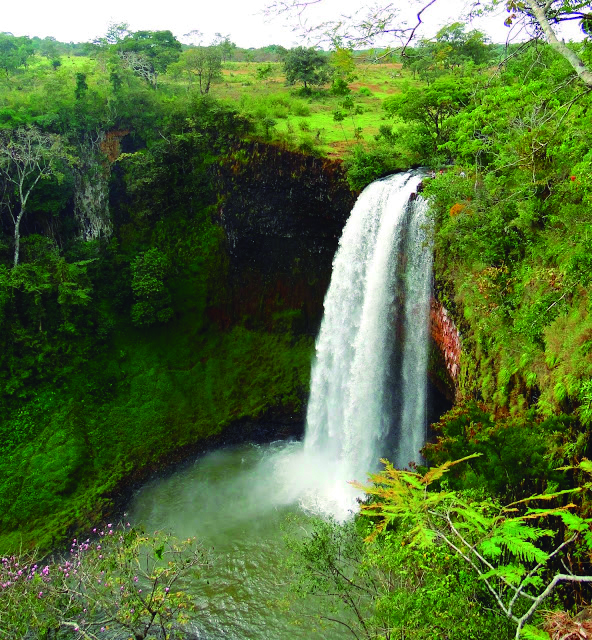 Ulbra Cachoeira Do Sul - E se você pudesse guardar suas lembranças, e-mails  e documentos mais importantes para sempre? Acessando pelo Autoatendimento ou  pelo ambiente Gmail é possível! Você pode redirecionar todos